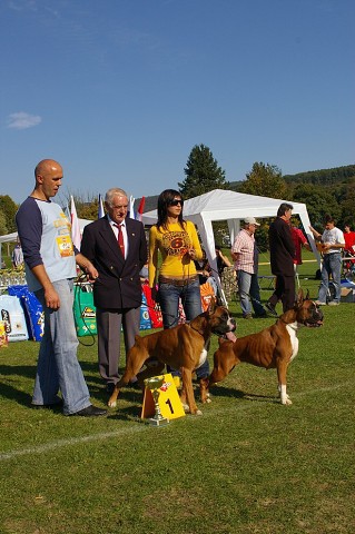 www.boxer-show.eu